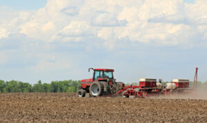 Farms fail as fertilizer prices soar