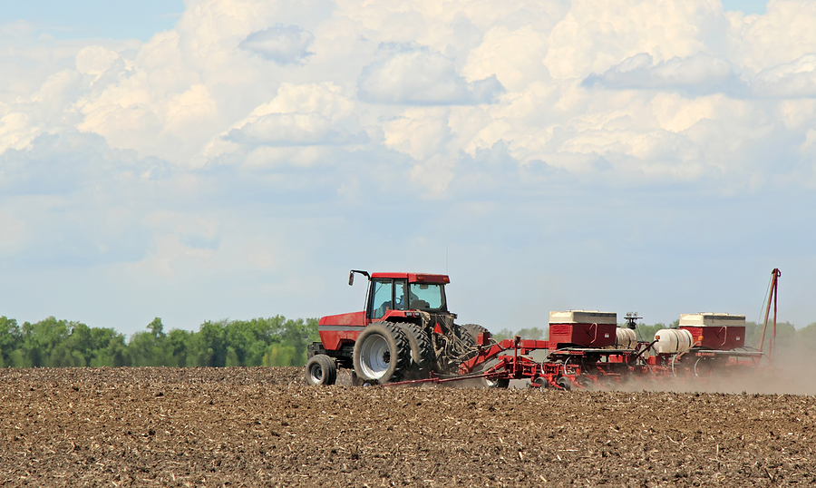 Farms Fail As Fertilizer Prices Soar