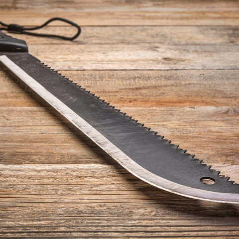 Queens son charged for killing, nearly decapitating his mother with a machete - photo licensed by shore news network.