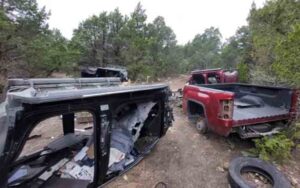 Dallas police discover major chop shop hidden in woods