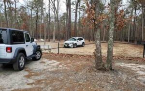 Part of forked river dog park closed after vehicle crashed through fence