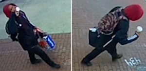 D. C. Police searching for burglary suspect