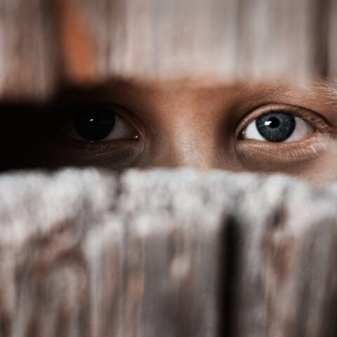 Hilton man arrested, charged with stalking - photo licensed by shore news network.