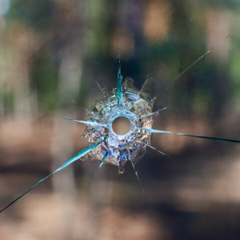 Shooting at glen ridge commons apartments, no injuries reported - photo licensed by shore news network.