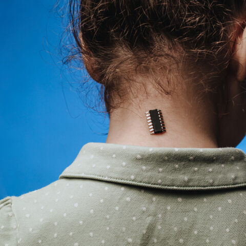 White house press sec: we don't put chips in americans - photo licensed by shore news network.