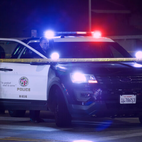 Bloody trail leads police to head of woman in trash can, killed by her daughter - photo licensed by shore news network.