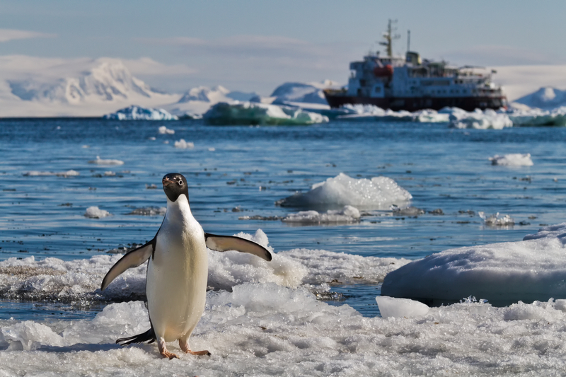 Scientists Discover World’s Largest Fish Breeding Ground In Depths Of Antarctic Stretching Dozens Of Miles