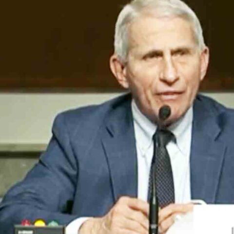 Multi-millionaire pandemic profiteer anthony fauci's swank san francisco trattoria received a $112,000 covid-19 paycheck protection loan - photo licensed by shore news network.