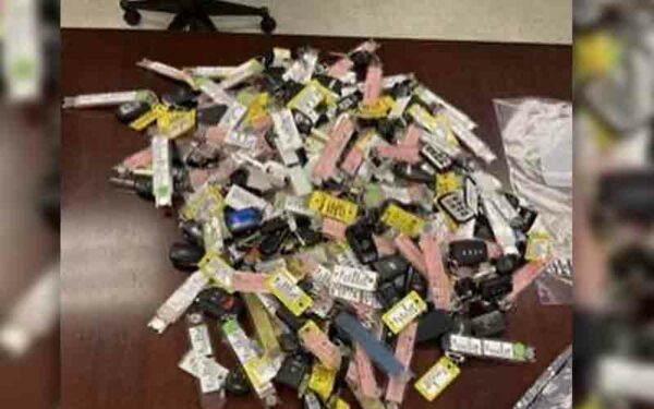 Teenage Newark car thieves caught with over 100 stolen key fobs, car