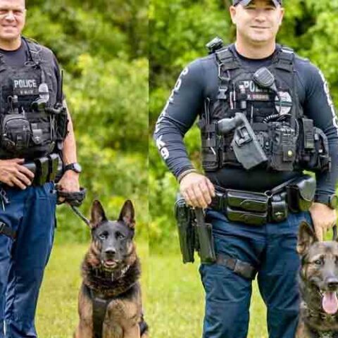Port st. Lucie k9 cops retiring after years of public service to the community - photo licensed by shore news network.