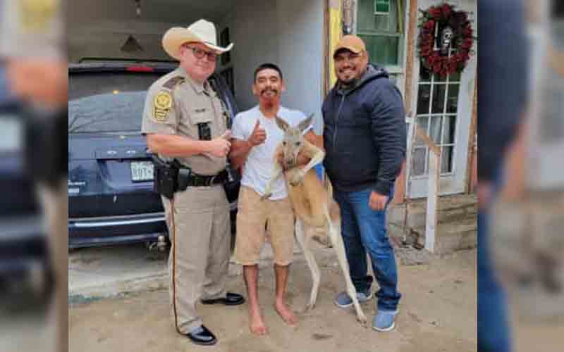 Police help man find his missing Kangaroo