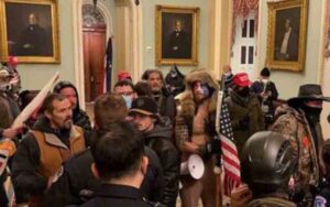 Rubio: sane people don't think american government was almost overthrown by a guy wearing a viking hat and speedos