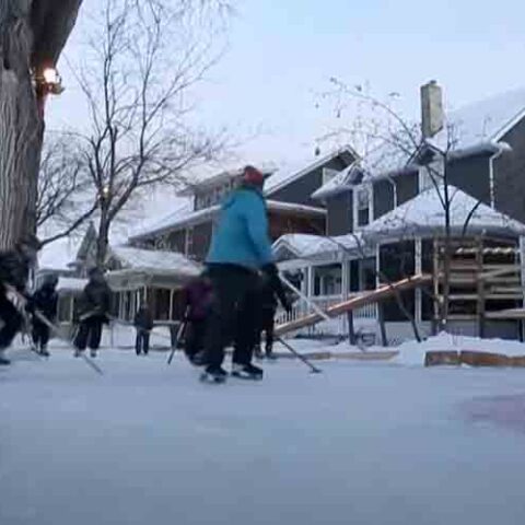 Neighbors band together to build backyard hockey rink for neighborhood kids, with a large tree inside the blue line - photo licensed by shore news network.