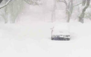 Vehicles stuck in brick, police warn residents to stay home until storm passes