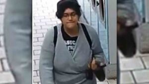 Police searching for bronx slashing suspect