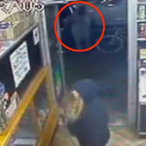 Woman and her dog shot to death inside new york city bodega - photo licensed by shore news network.