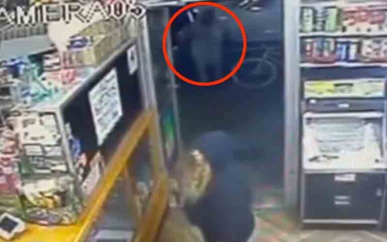 Woman and her dog shot to death inside new york city bodega - photo licensed by shore news network.