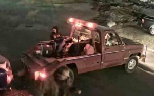 Columbus police searching for tow truck bandits