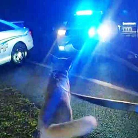 Three arrested in fort walton shooting, police chase - photo licensed by shore news network.