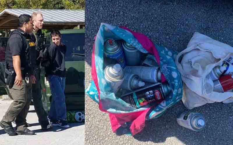 Police arrest Tink, a 21-year-old graffiti vandal as detectives were investigating her