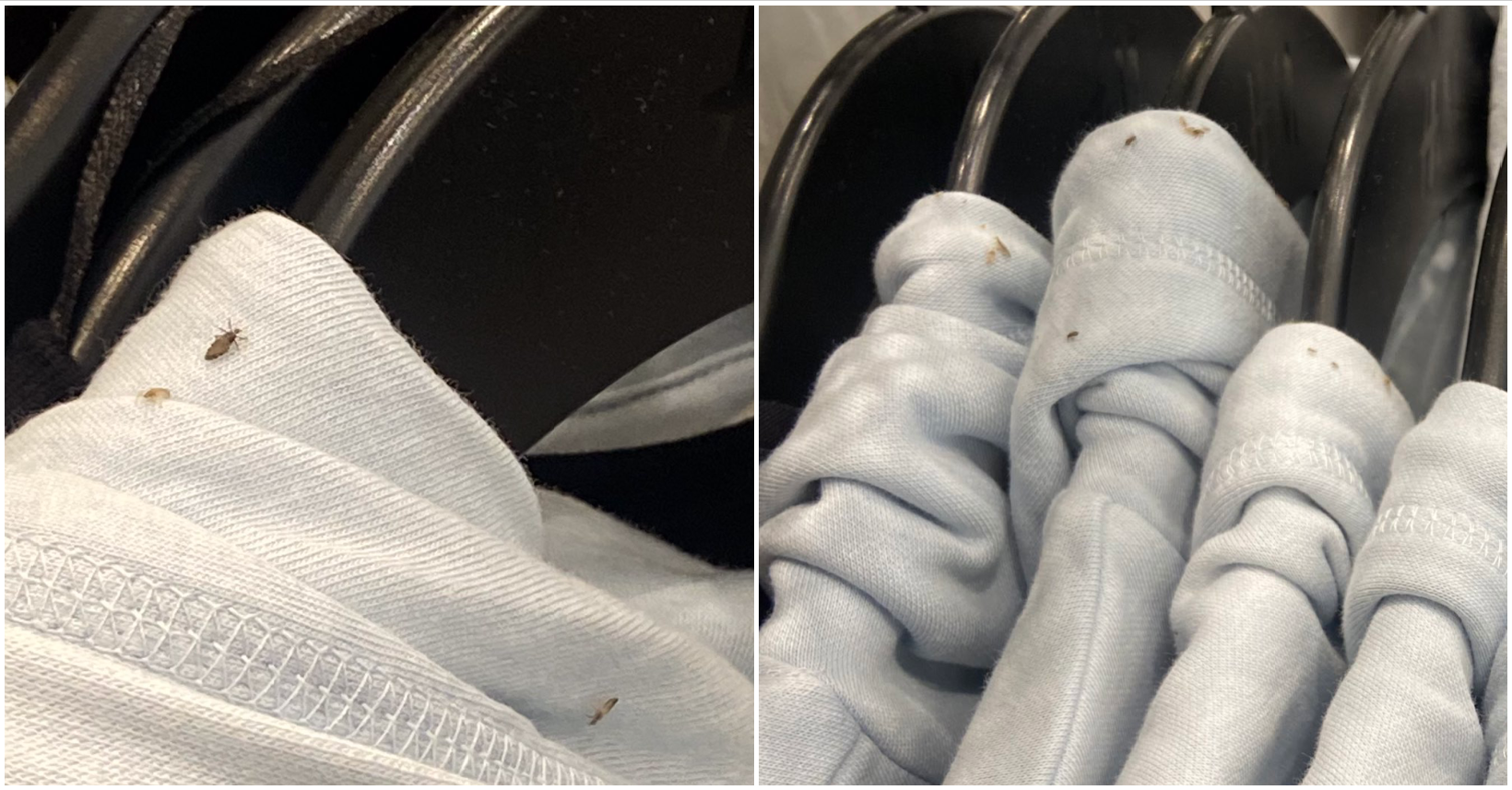 NYC H&M store closes after employee pictures of bugs on hoodies goes viral