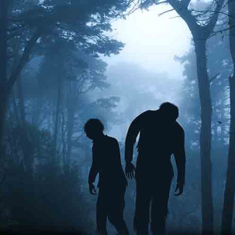 Murphy administration "unkills" 239 previously "confirmed" covid-19 deaths - photo licensed by shore news network.