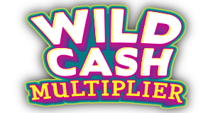 Wild Cash Multiplier $100K Top Prize Won in Broadview Heights