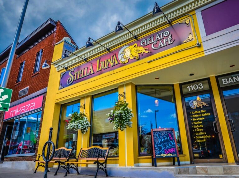Canadian woman forced to shut down her ottawa cafe after receiving violent threats after name found in leaked givesendgo hack - photo licensed by shore news network.