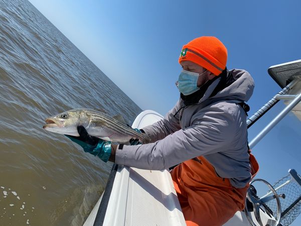 Here's a job that's perfect for people who enjoy fishing, the ocean and the outdoors