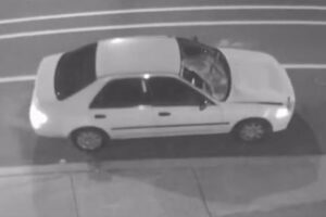 Woman killed by hit and run driver on island avenue, police seeking to identify suspects