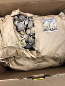 Baltimore cbp officers seize opium poppy pod shipment destined to cecil county, maryland