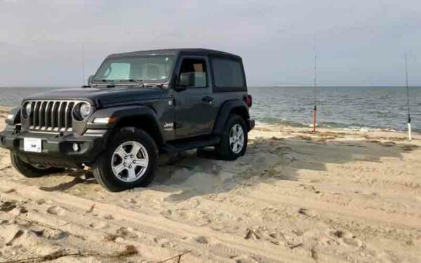 Delaware Surf Fishing Permits Sold Out, Off-peak Permits Still Available