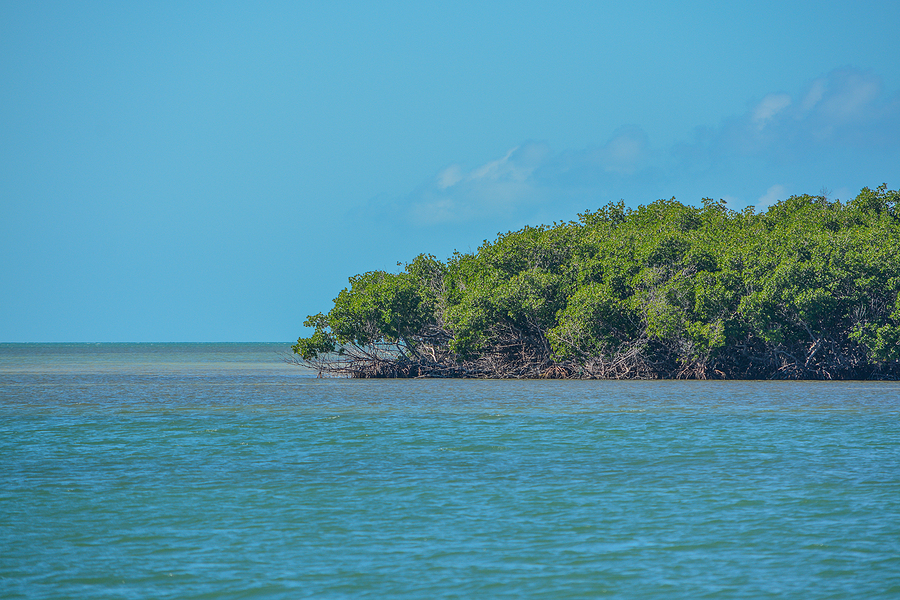 Body discovered in water near Boot Key