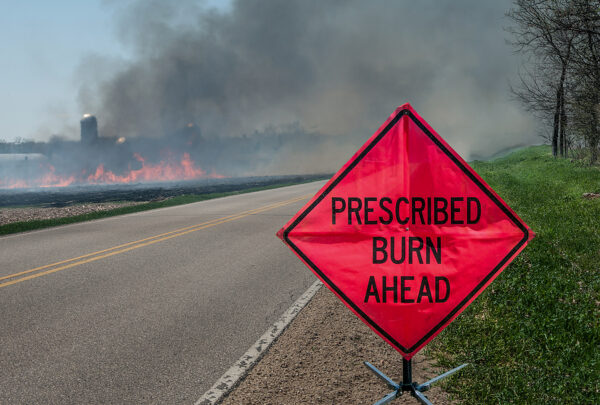 New Jersey Forest Fire Service Says Prescribed Burns in Winter and Spring Prevent Large Forest Fires in Summer and Fall