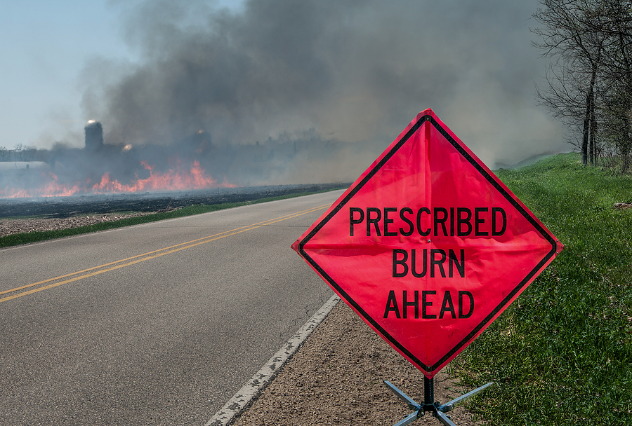 New Jersey Forest Fire Service Says Prescribed Burns in Winter and Spring Prevent Large Forest Fires in Summer and Fall