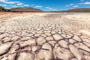 US Southwest Records Driest Two Decades In 1,200 Years Thanks To ‘Megadrought’ US Southwest Records Driest Two Decades In 1200 Years Thanks To Megadrought