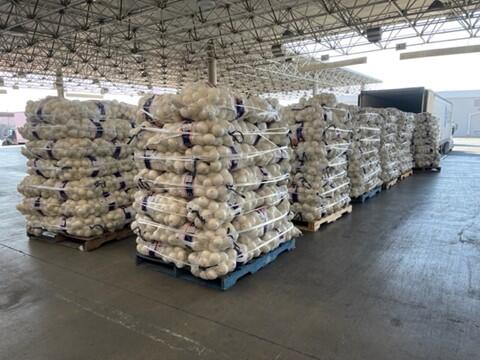 CBP Officers Seize Meth Disguised as Onions U.S. Customs and Border Protection officers at the Otay Mesa commercial facility discovered almost 1,200 small packages of methamphetamine hidden within a shipment of onions on Sunday.
