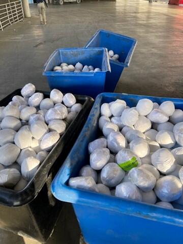 CBP Officers Seize Meth Disguised as Onions CBP officers extracted approximately 1,336 pounds of methamphetamine worth an estimated street value of about $2.9 million.