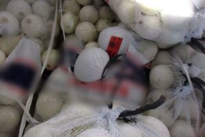 Cbp officers seize meth disguised as onions