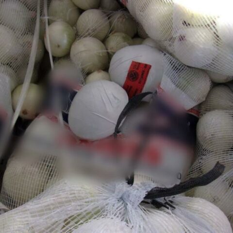 Cbp officers seize meth disguised as onions - photo licensed by shore news network.