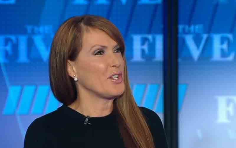 Fox News Host Dagen McDowell Completely Destroys CNN and Brian Stelter