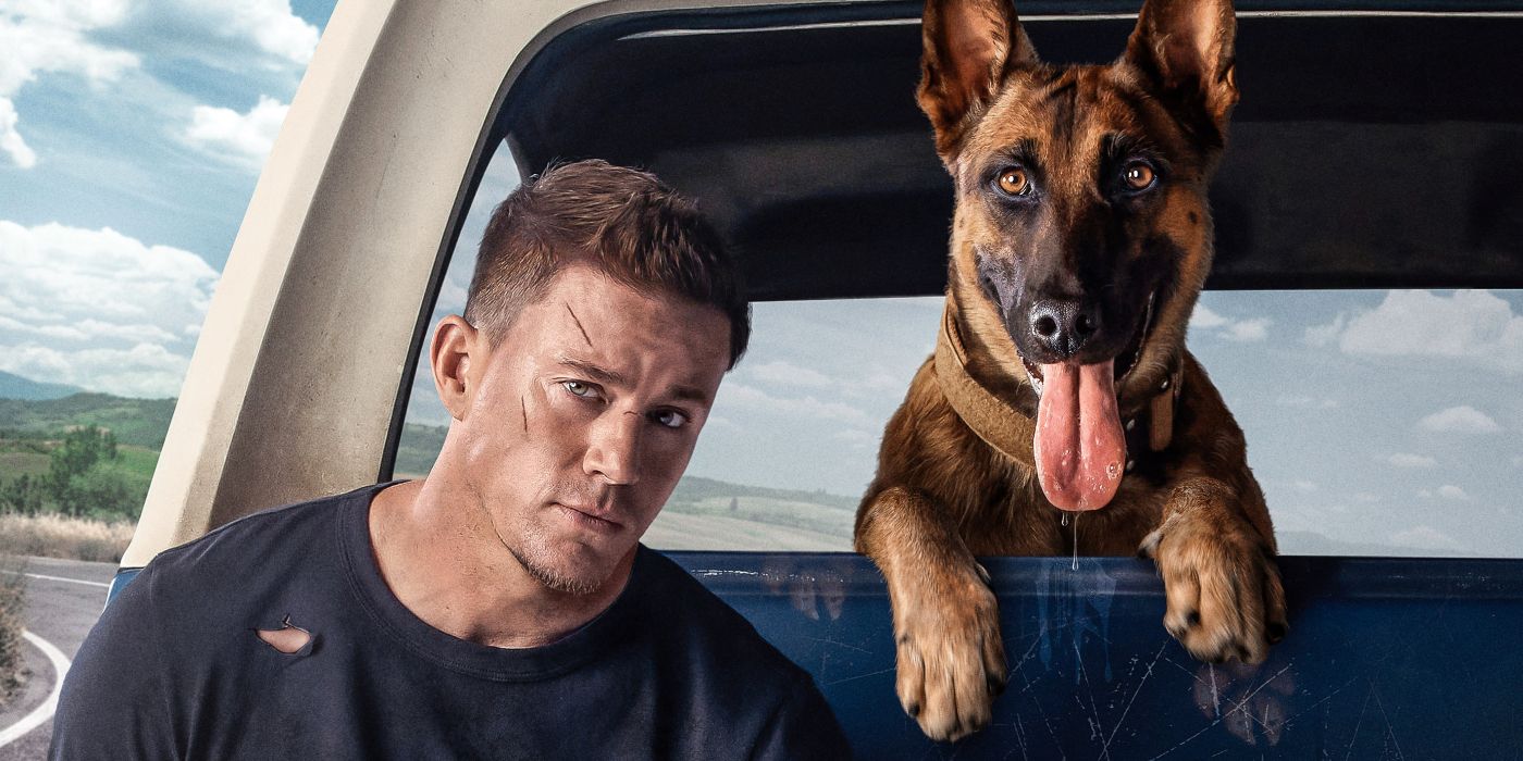 Channing Tatum’s New Movie Shares Heartwarming Message About The Bond Between A Veteran And A Dog