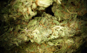 Defendant in marijuana and cocaine conspiracy sentenced