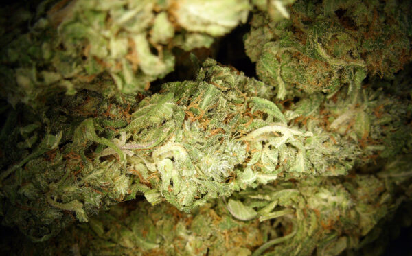 Defendant in marijuana and cocaine conspiracy sentenced