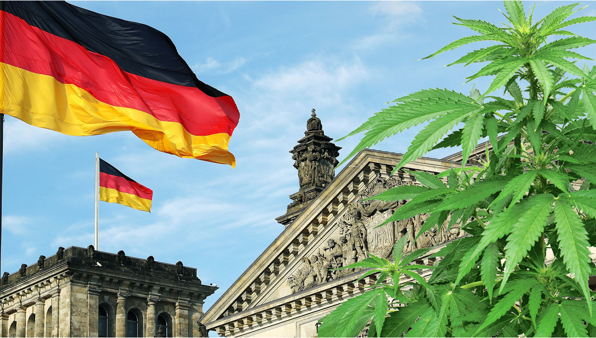What the future beholds for Legal Cannabis In Germany