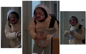 D. C. Police searching for burglary suspect