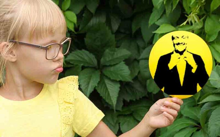 Democrat lawmakers in trenton reject bill that would exempt public workers from vaccine mandate - photo licensed by shore news network.