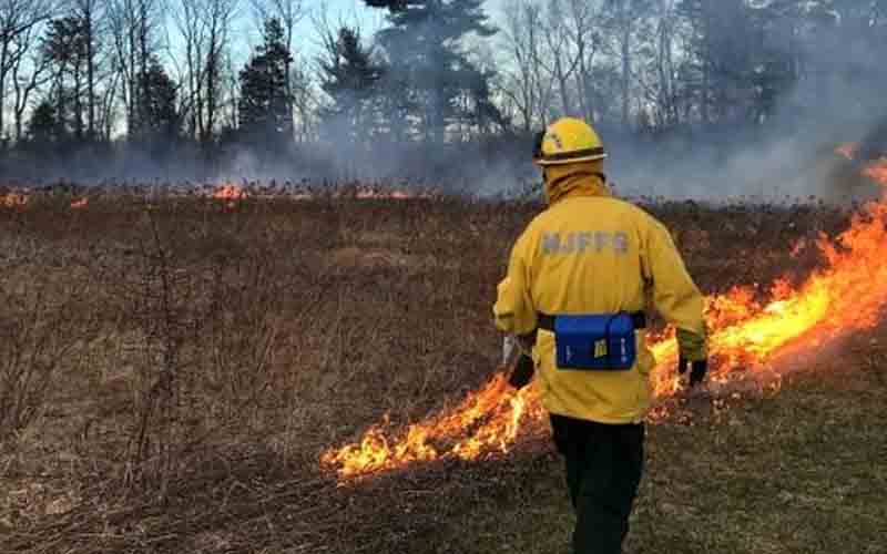 What's that smell? You no longer need to ask as NJDEP launches prescribed forest fire burn schedule on website