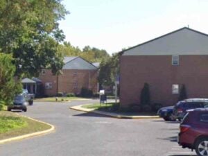 Police investigating murder after man and his dog found dead in olympus apartment complex