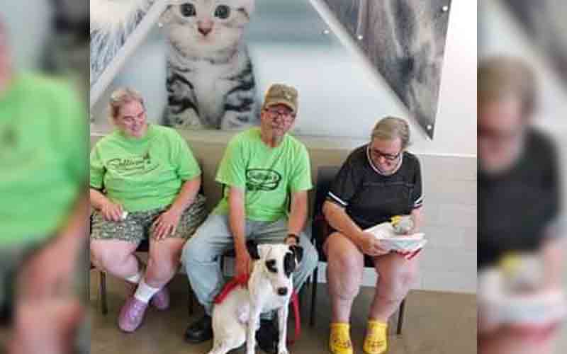 Buffalo man gets 150 hours of community service, mental health evaluation for beating 8-week-old puppy